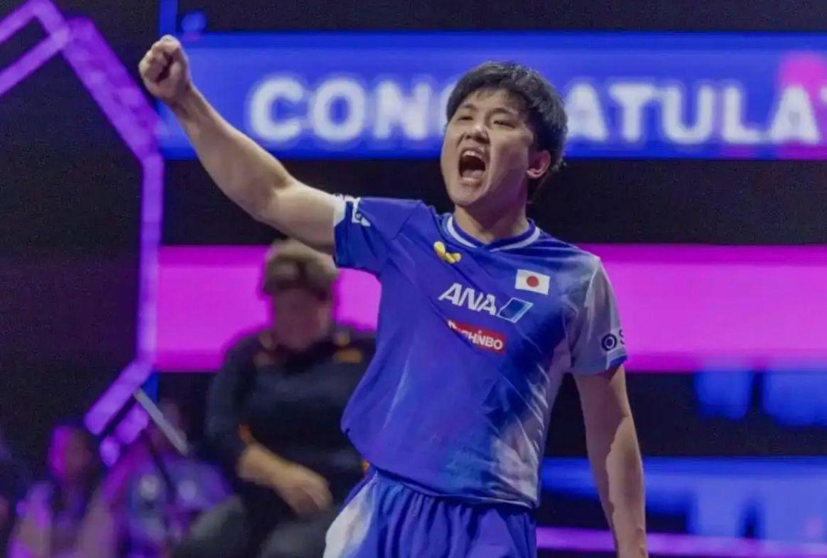 dingy, ws, 张本智和在 dingy, ws, 张本智和在